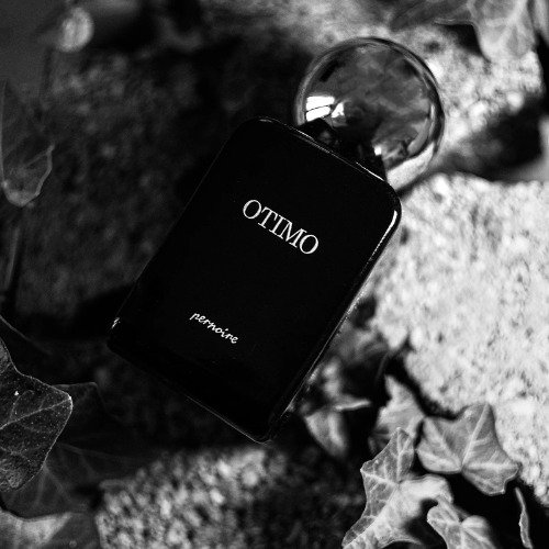 Pernoire Otimo — decant de perfume 2ml | Monograph
